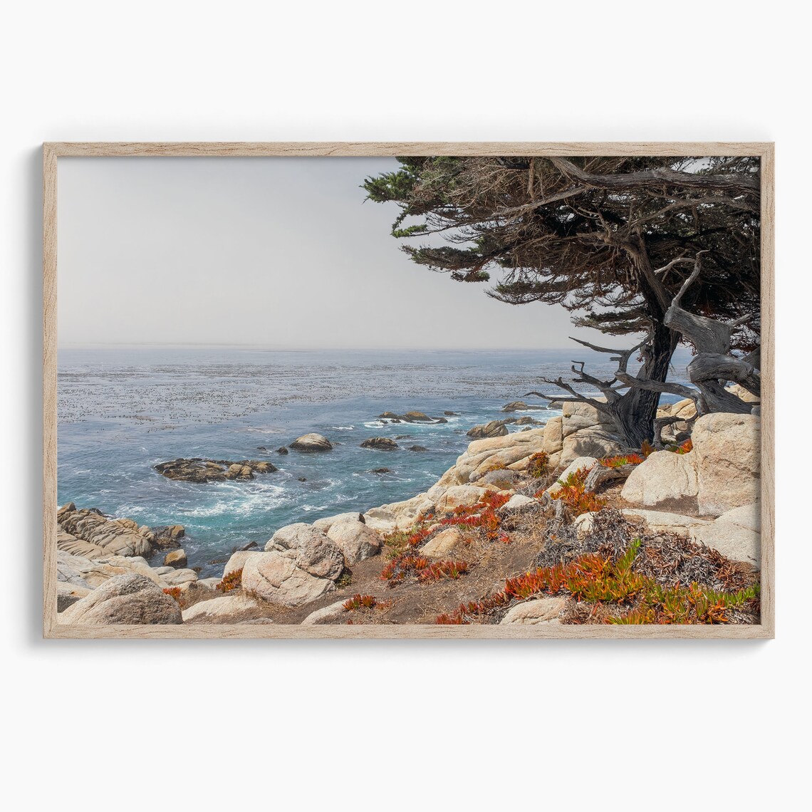 California Ocean Tree, Monterey Coastal Art Print - Image 2