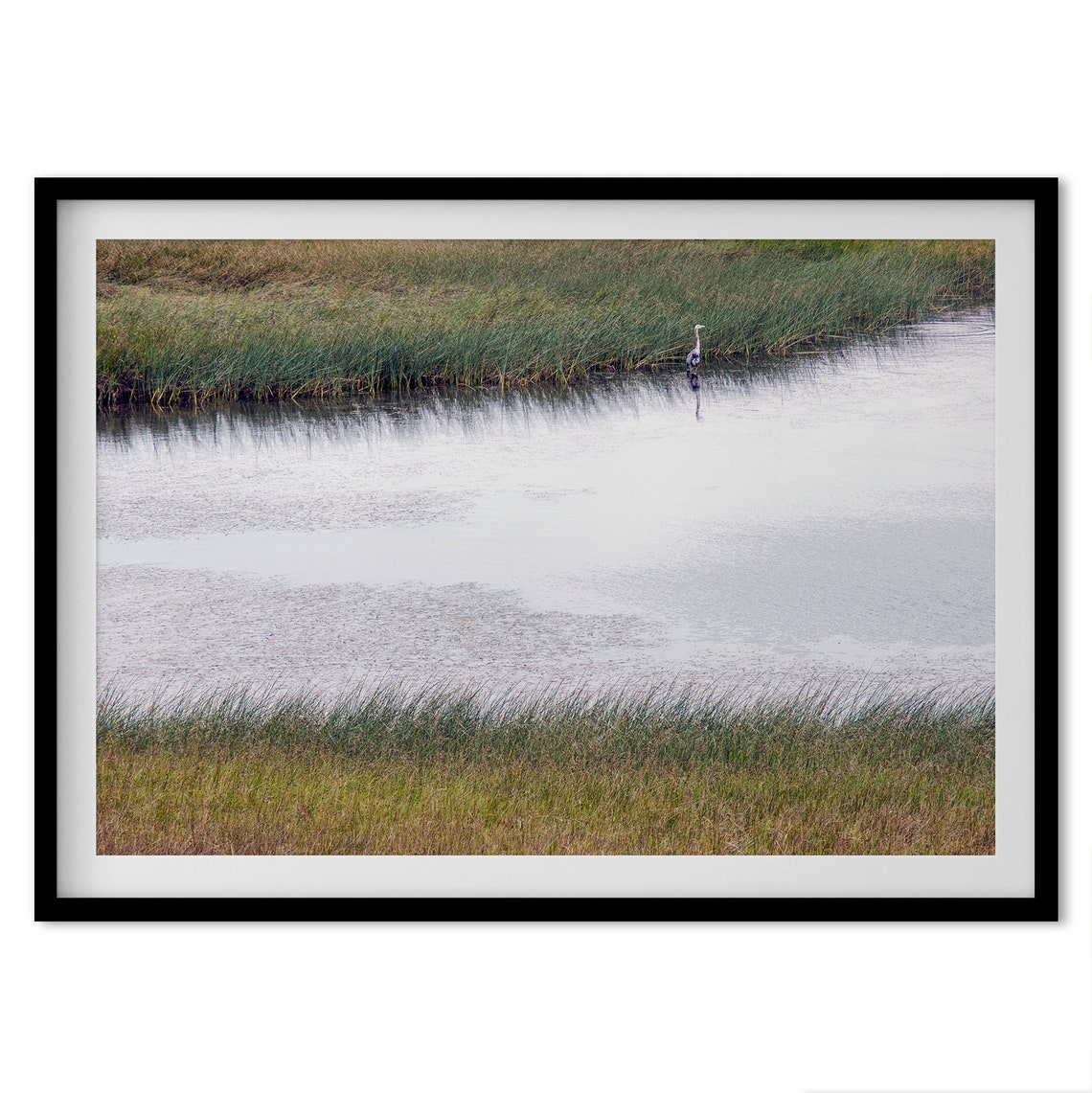 Serene Marsh Wetland Great Blue Heron In Reeds Calm Nature Poster - Image 5