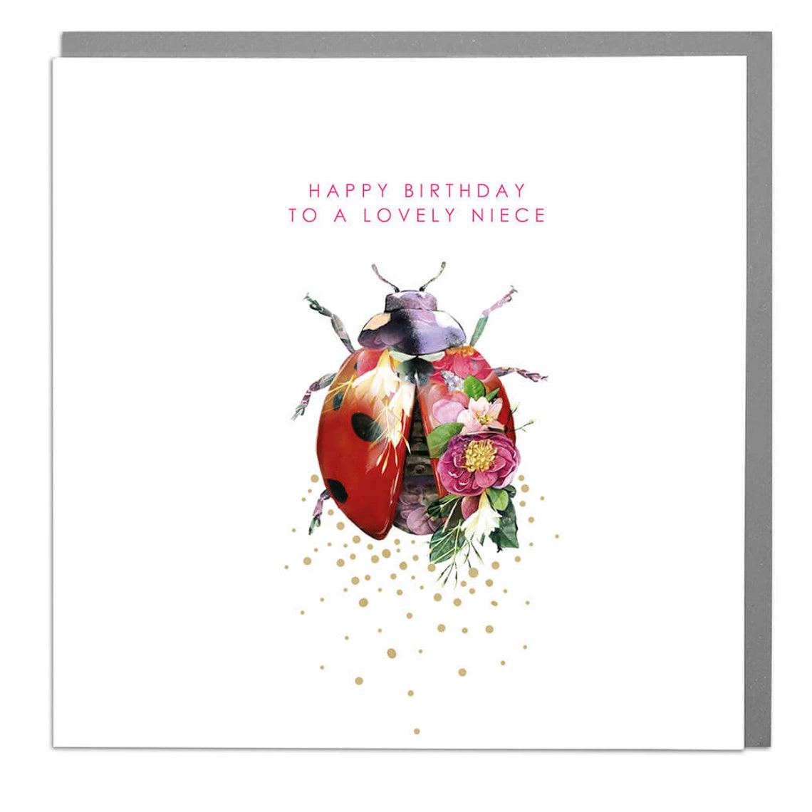Ladybird Niece Birthday Card