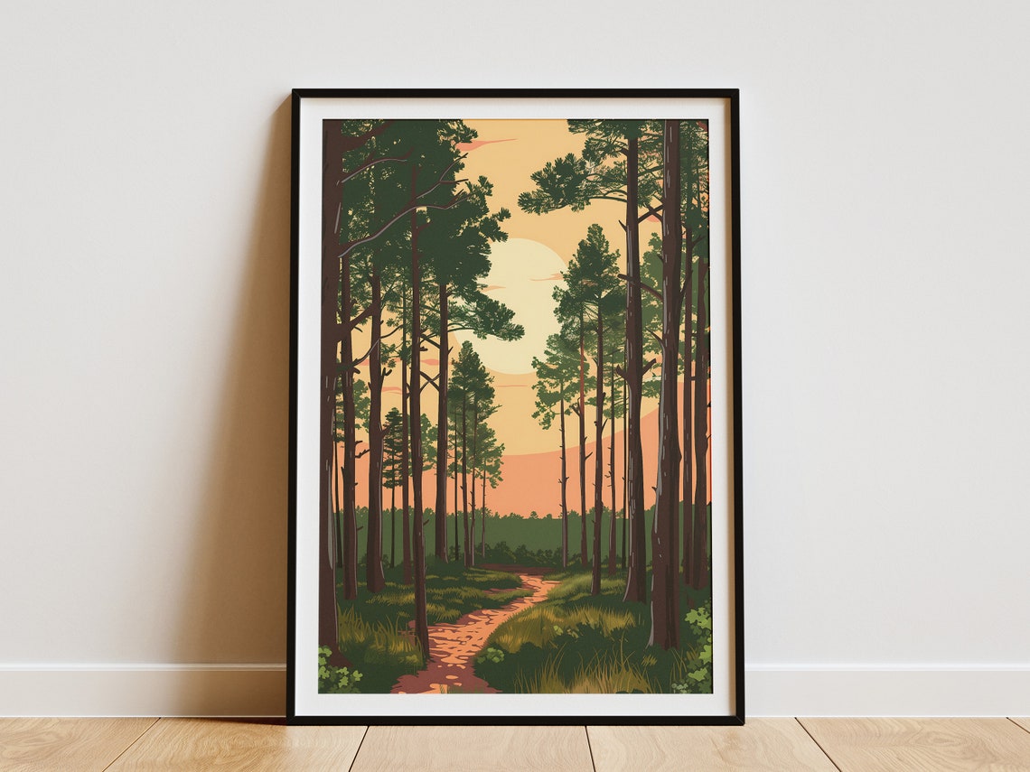 New Jersey Pine Barrens Tall Forest Trail Sunset Nature Poster