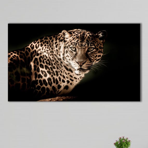 Leopard Portrait Bold Jungle Cat Art Print