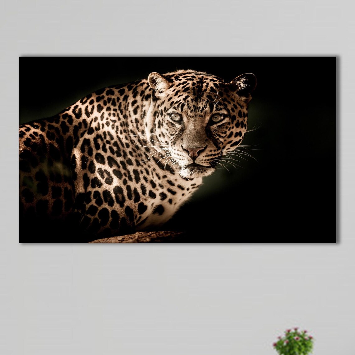 Leopard Portrait Bold Jungle Cat Art Print