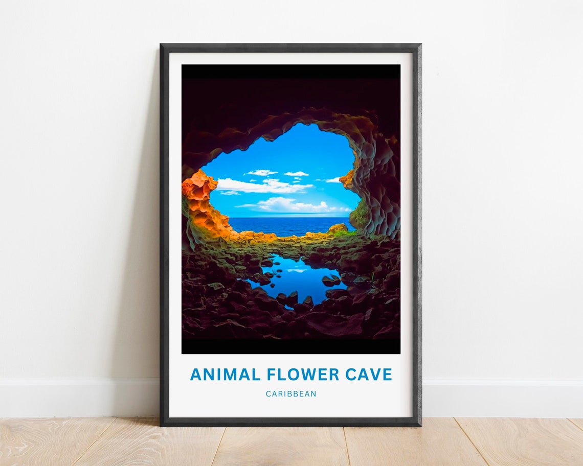 Animal Flower Cave Caribbean Sea Cave Ocean View Travel Poster