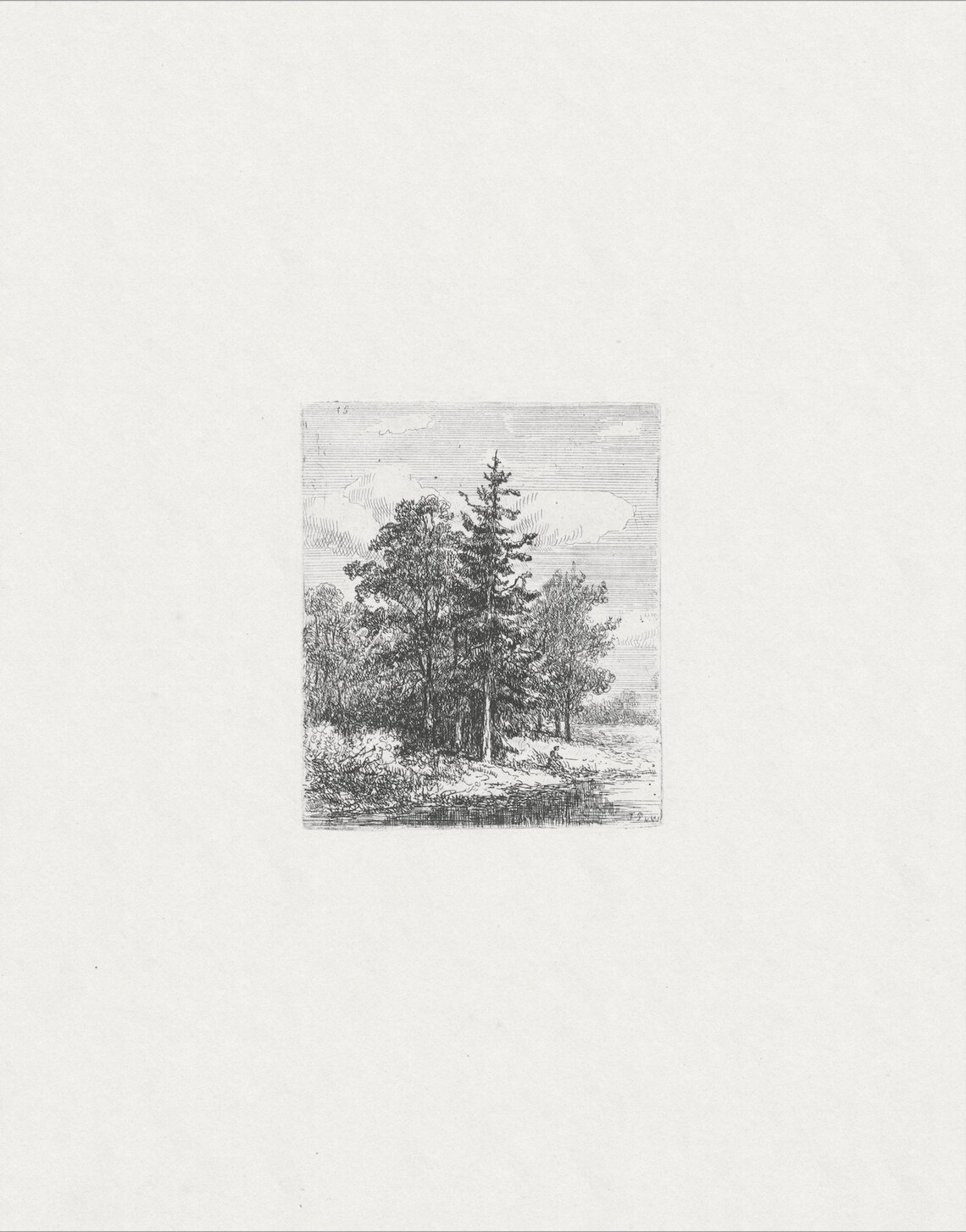 Vintage Tree Etching Art Print, Antique Sketch - Image 2
