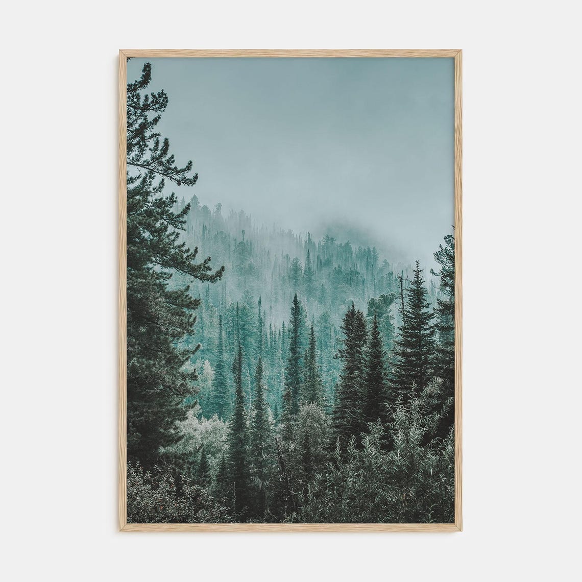 Misty Evergreen Hillside Tall Pines in Thick Fog Photo Poster