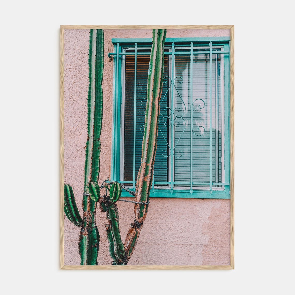 Tall Green Cacti Before a Turquoise Window on a Pink Wall Poster
