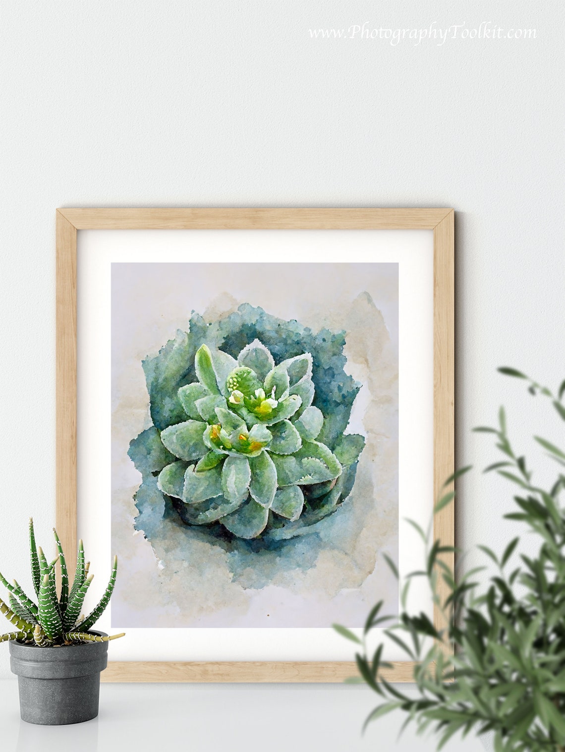 Gray Green Succulent Top View Watercolor Minimal Plant Poster - Image 5
