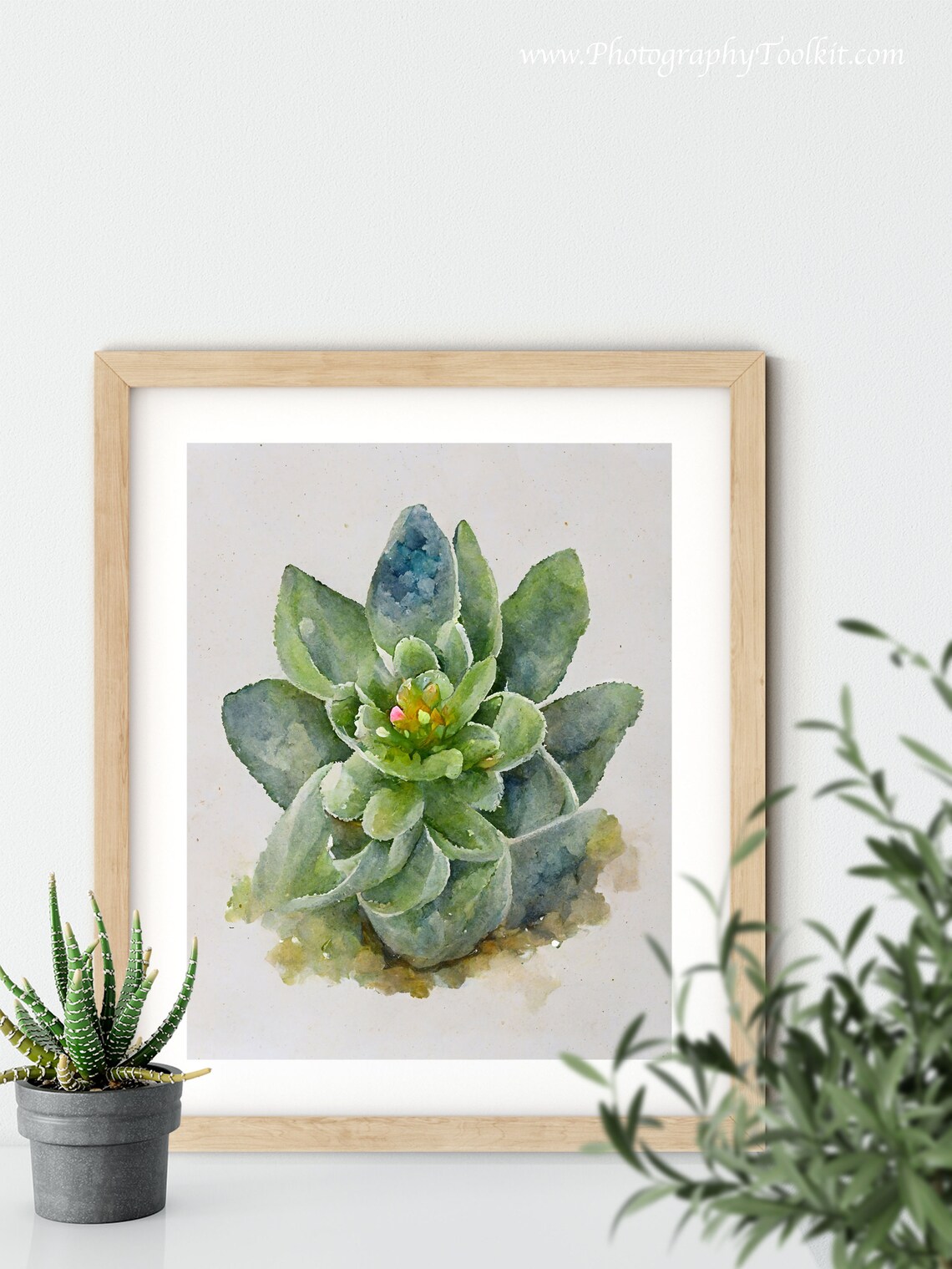 Succulent Watercolor With Pink Blooming Center Lovely Plant Poster - Image 6