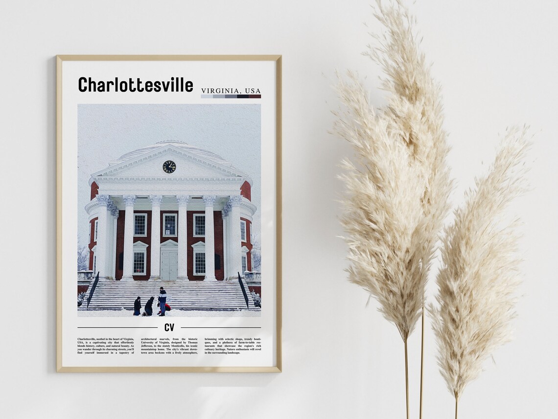 Charlottesville Poster, United States Photo - Image 4