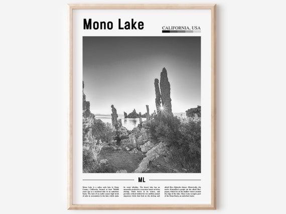 Mono Lake Poster Black And White Mono Lake Print Black And White Mono Lake Wall Art Minimal Travel Print Travel Poster