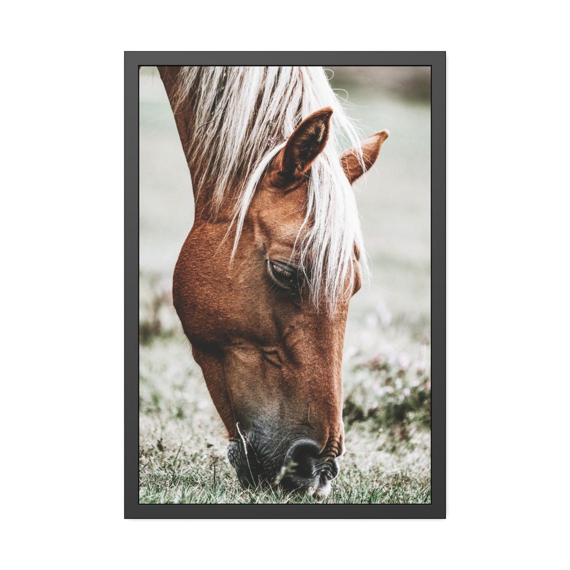 Chestnut Horse Grazing White Mane Close Up Rustic Photo Wall Art