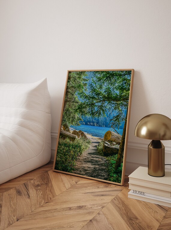 Forest Trail to Blue Lake Pine Trees Nature Photography Wall Poster