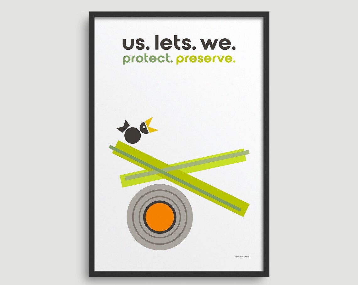 Protect Preserve Bird Conservation Geometric Wildlife Art Poster