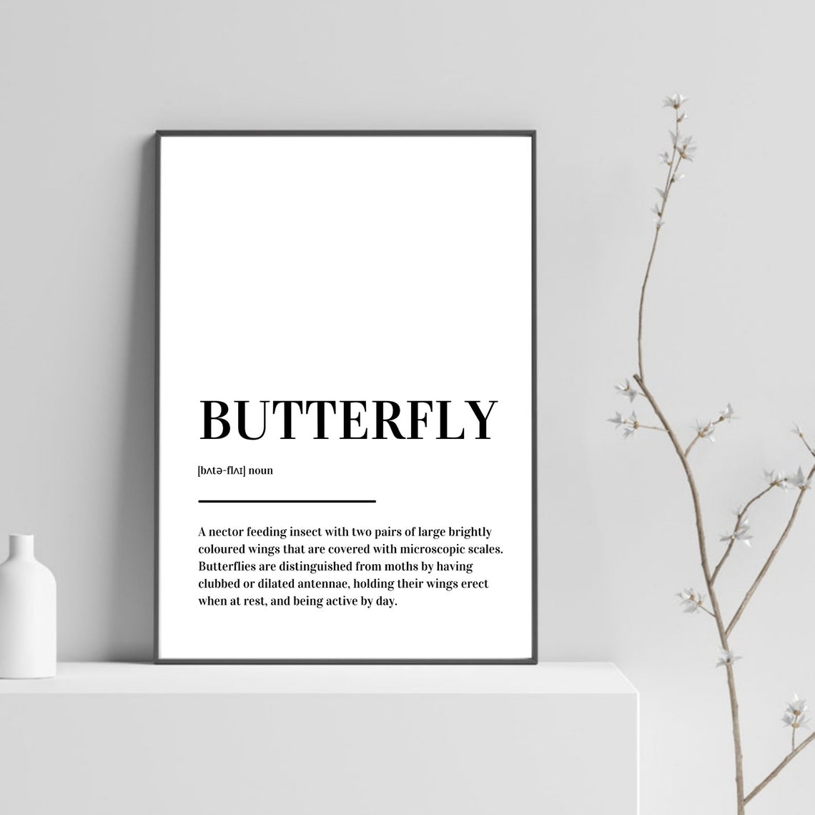 Butterfly Definition Insect Nature Educational Minimalist Poster