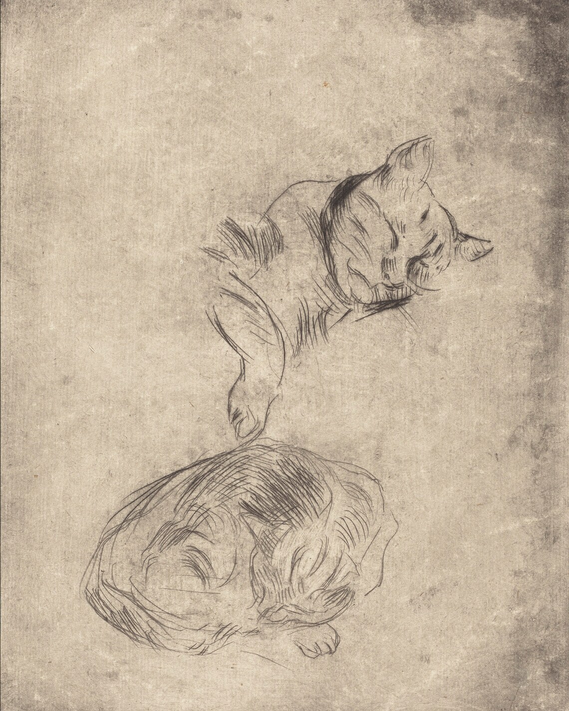Antique Cat Sketch, Vintage Farmhouse Art Print - Image 3
