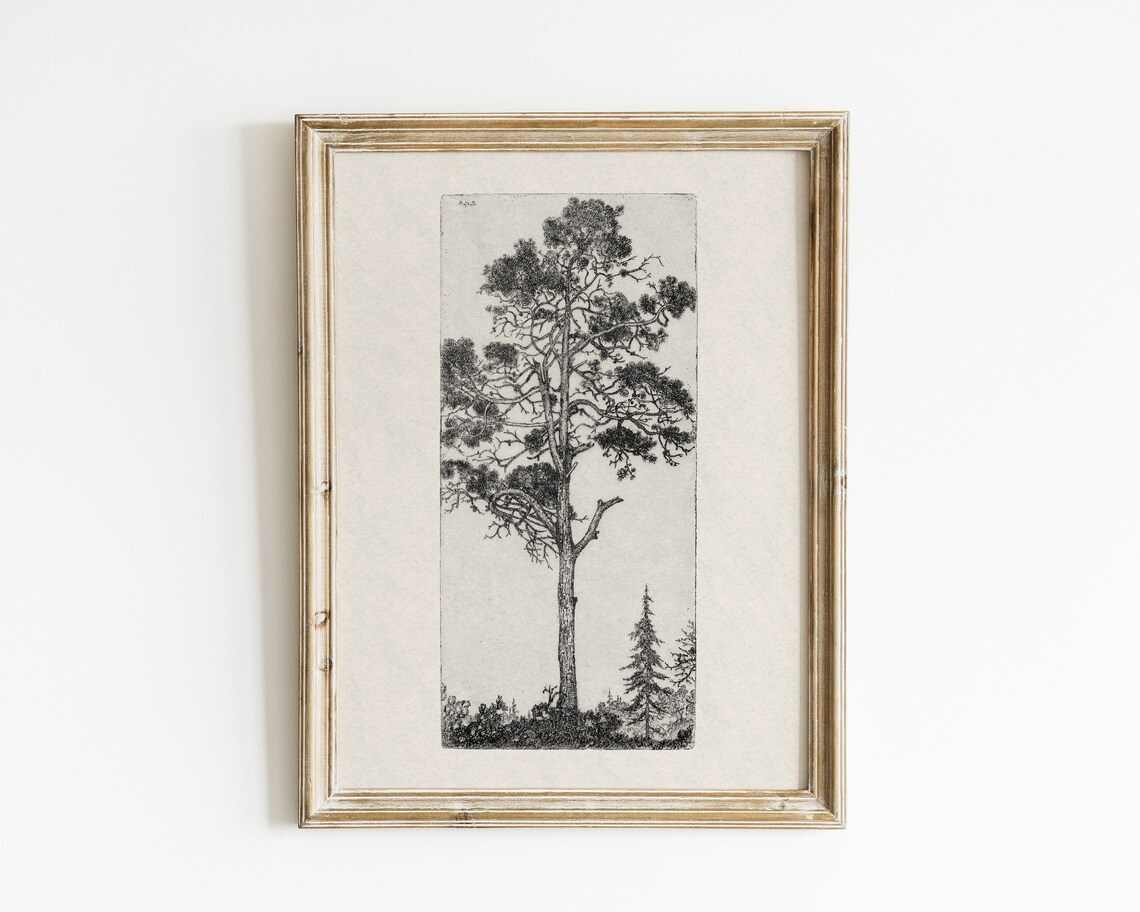 Botanical Sketch Tree Illustration, Vintage Art Print