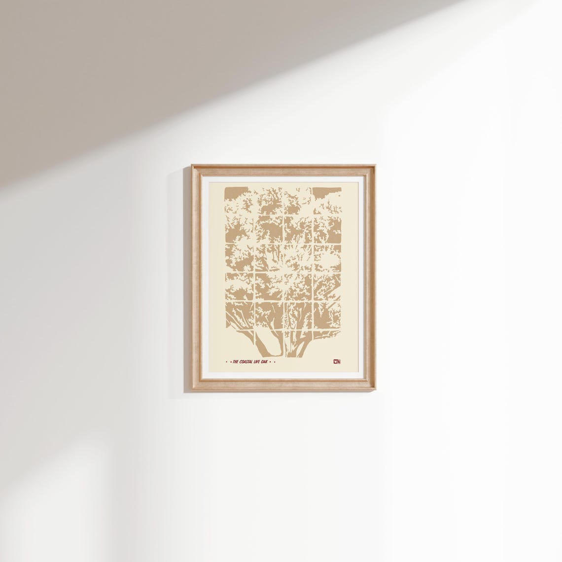 The Coastal Live Oak Minimalist Tree Line Art Botanical Poster - Image 2