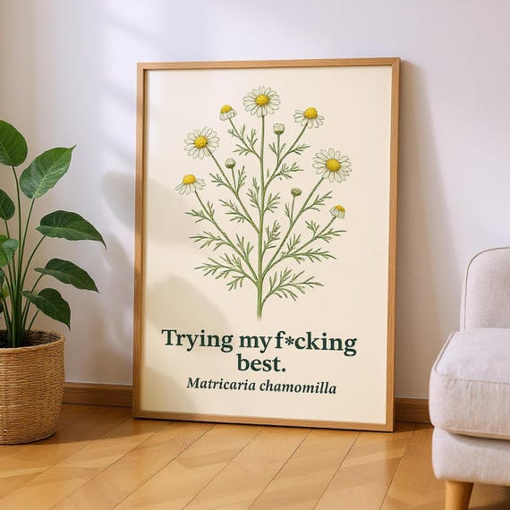 Funny Botanical Chamomile Print Vintage Style Fine Art Poster