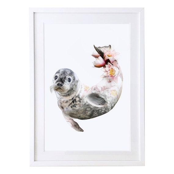 Seal Art Print