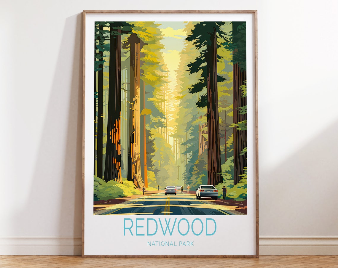 Redwood National Park Towering Giant Trees Forest Road Poster