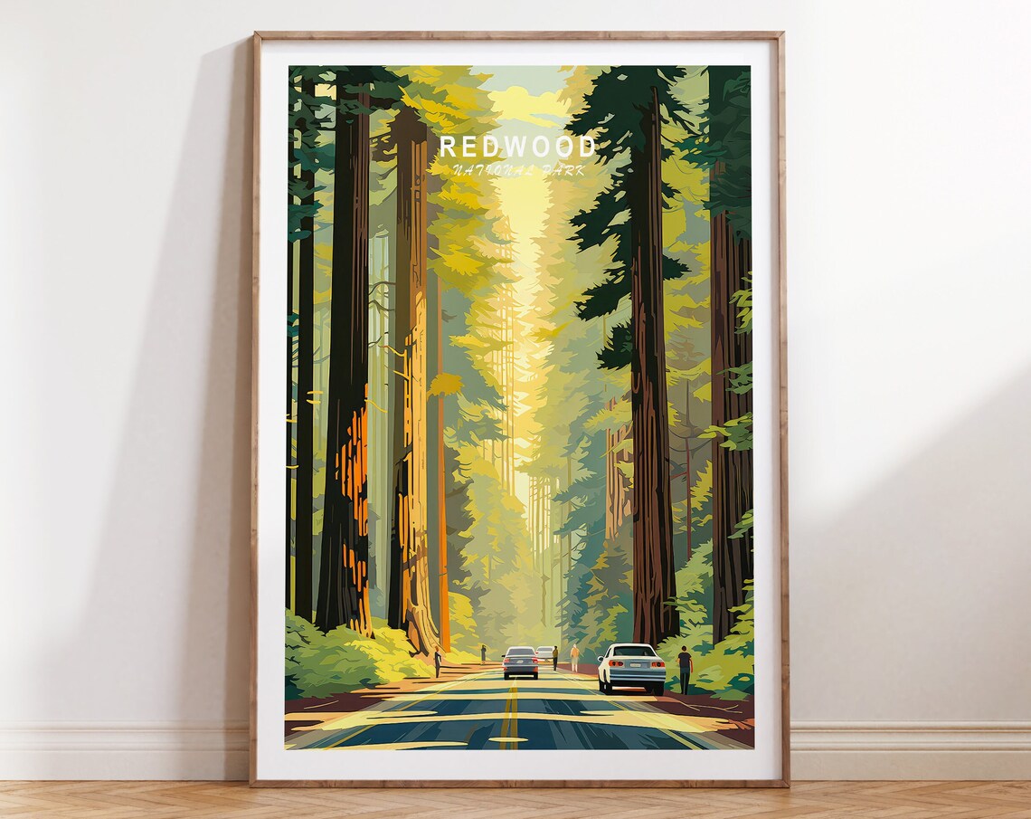 Redwood National Park Travel Poster, California