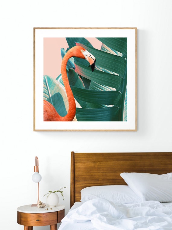 Flamingo Art Print, Tropical Bird Photograph
