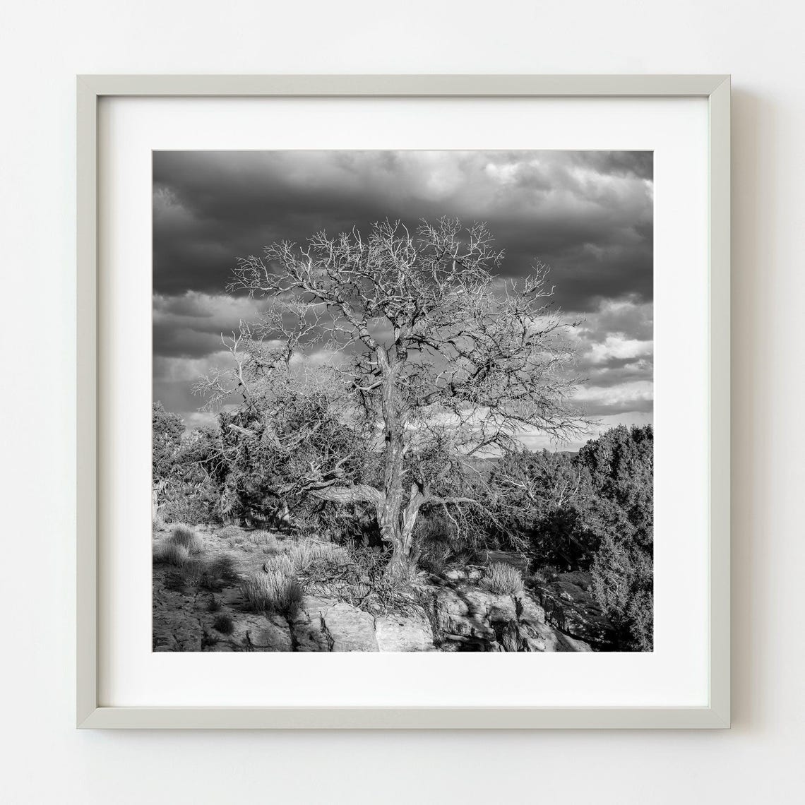 Bare Desert Tree Storm Clouds Black And White Nature Photo Poster