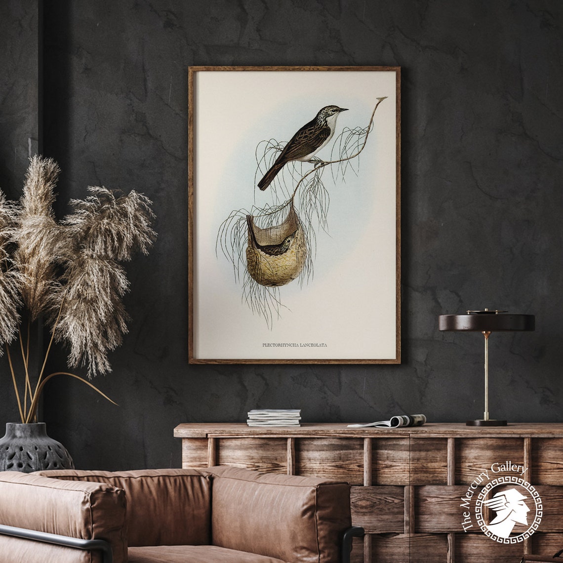 Vintage Lanceolate Honeyeater Woven Nest Antique Bird Art Print - Image 3