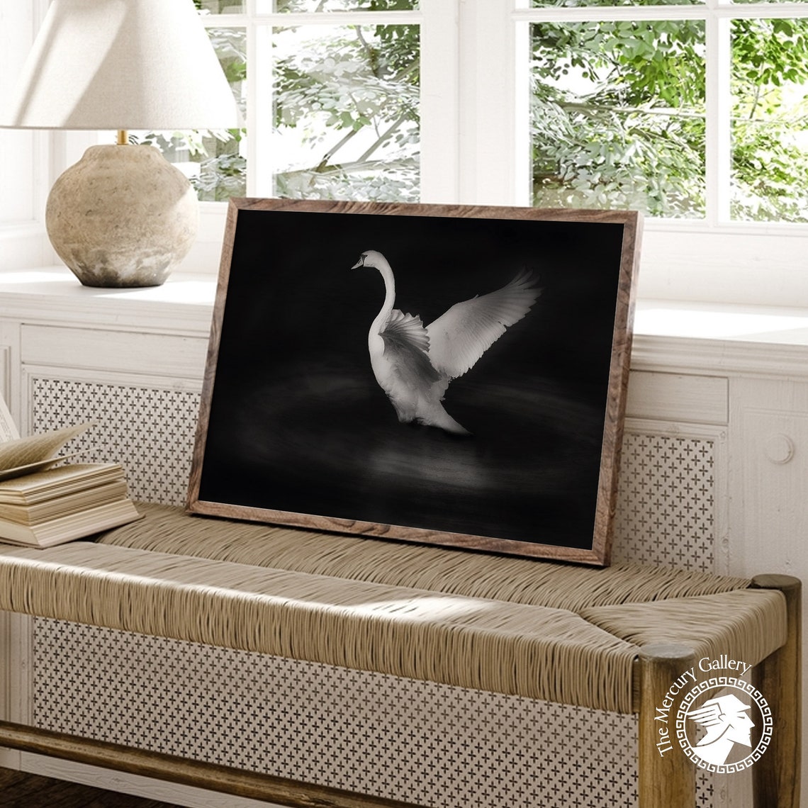 White Swan Taking Flight Dramatic Black And White Fine Art Photo Print - Image 4