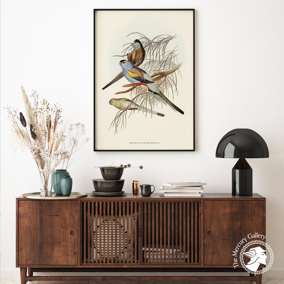 Vintage Golden-Shouldered Parrot Trio Antique Bird Illustration Print - Image 5