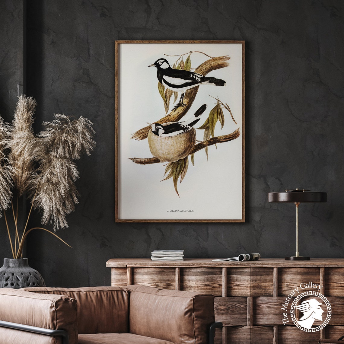 Vintage Magpie-Lark Mud Nest Antique Australian Bird Illustration Art - Image 4