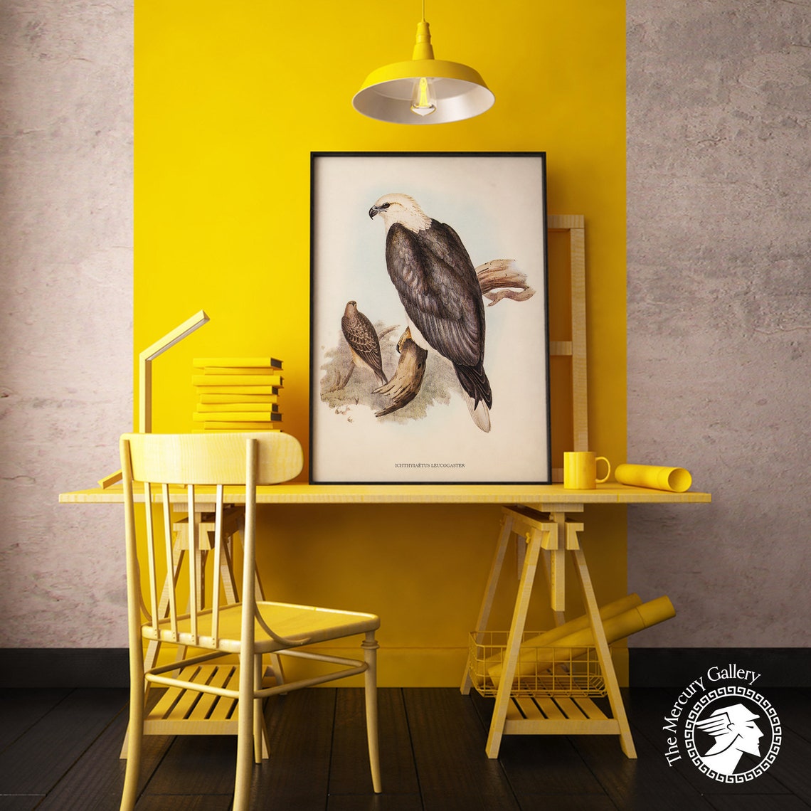 Vintage White-Bellied Sea Eagle Pair Antique Bird Of Prey Art Print - Image 2