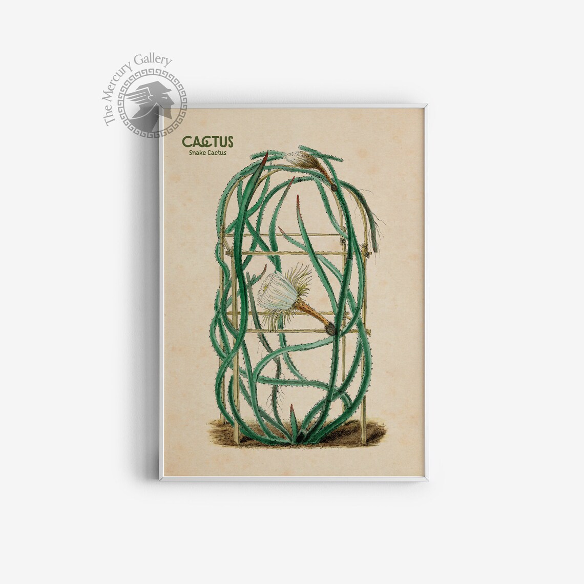 Cactus Wall Art, Desert Botanical Nursery Decor - Image 3