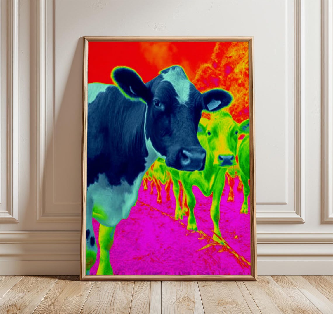 Thermal Neon Cow Print With Dark Blue Cow Close Up On Hot Pink Artwork