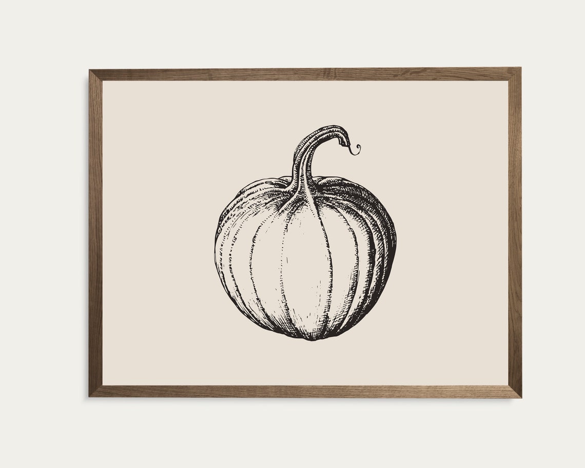 Pumpkin Sketch Line Drawing Fall Botanical Vintage Harvest Wall Art - Image 4