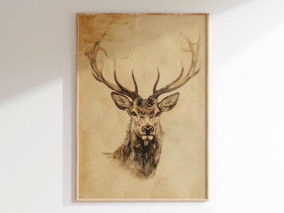 Majestic Stag Head Pencil Sketch Big Antlers Vintage Hunting Poster