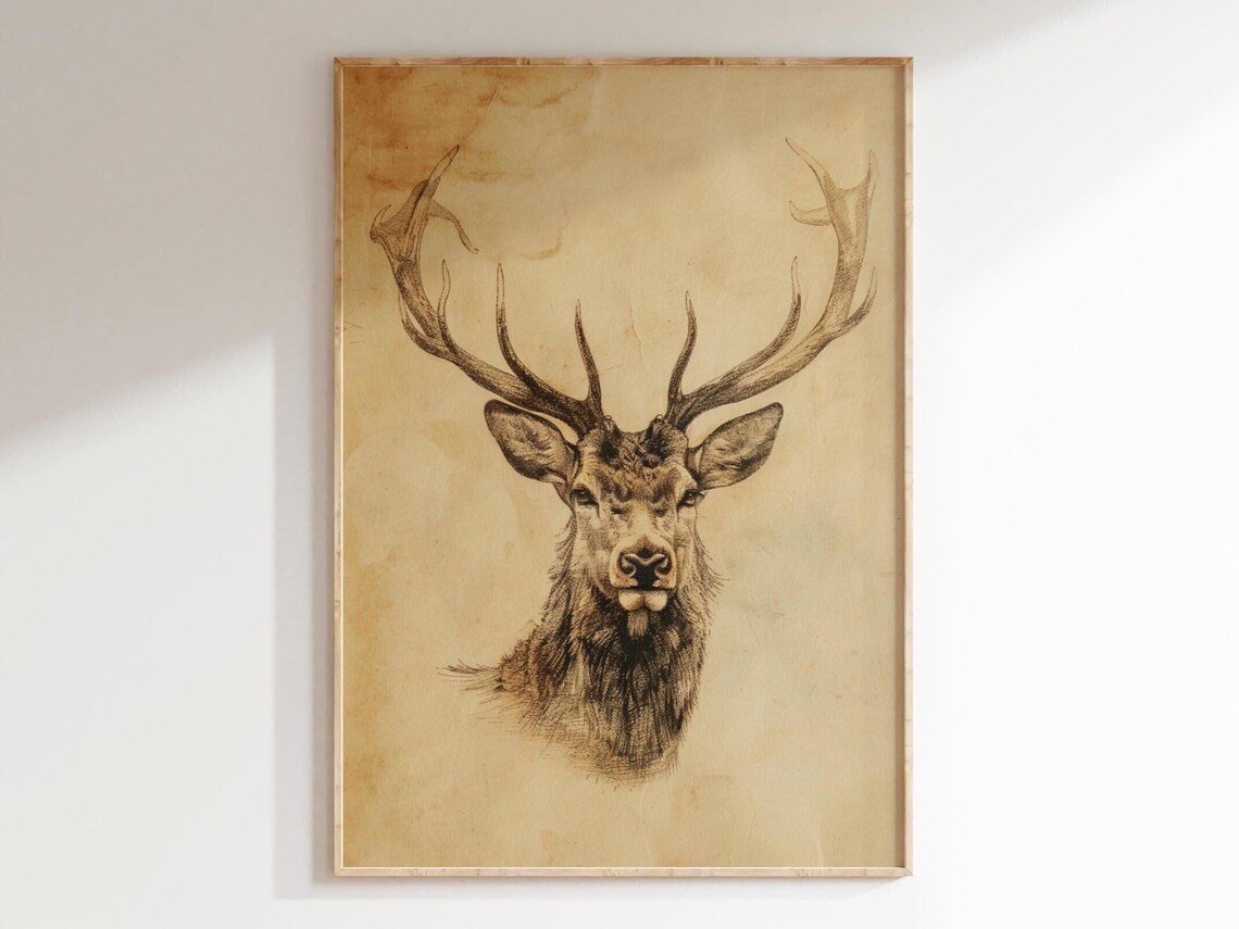 Majestic Stag Head Pencil Sketch Big Antlers Vintage Hunting Poster