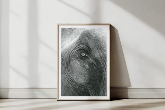Elephant Eye Detail Print Chiang Mai Thailand Photography Wall Art Gift Travel Postcard New Home Decor