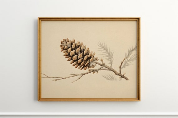 Pine Cone Study Antique Print