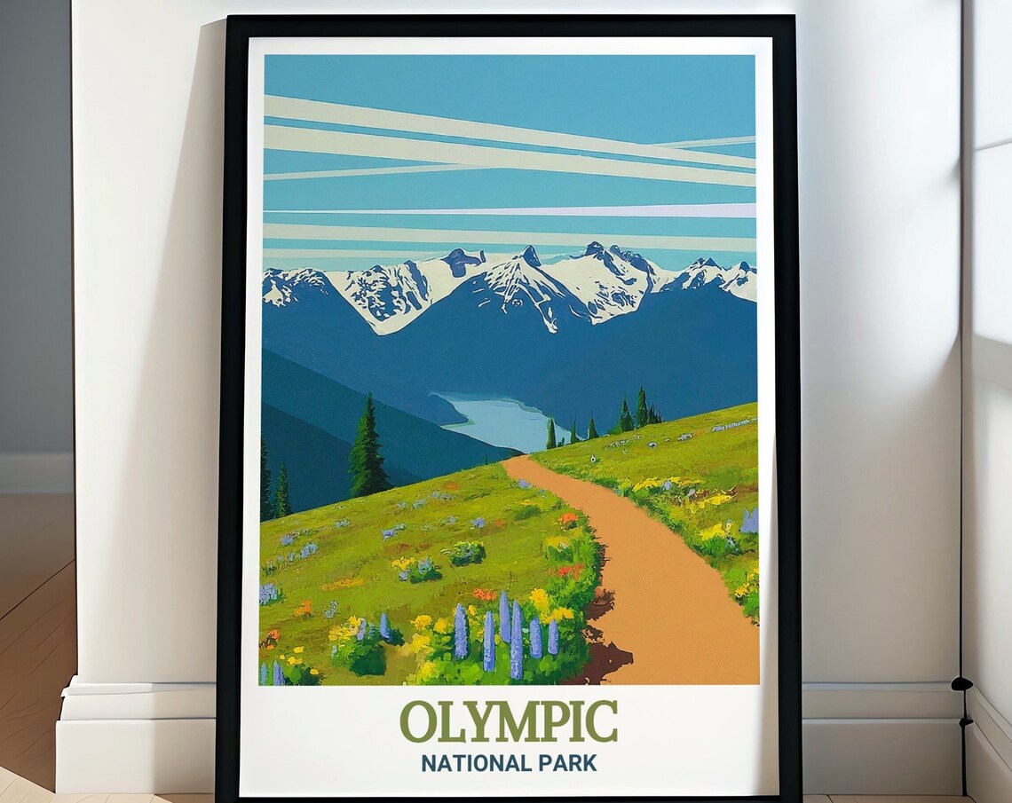 Olympic National Park Hurricane Ridge Wildflower Trail Vista Poster
