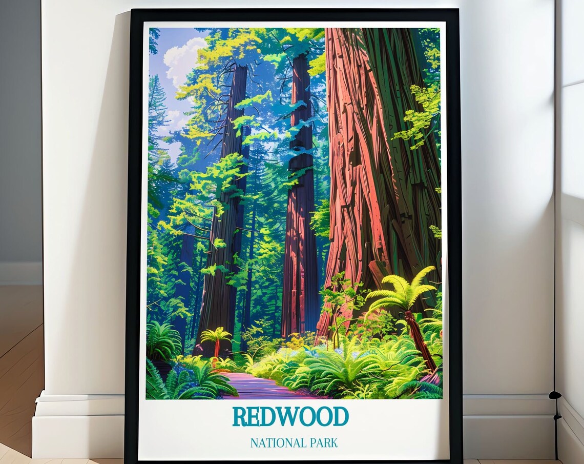 Redwood National Park Grove Of The Titans Forest Scenic Poster