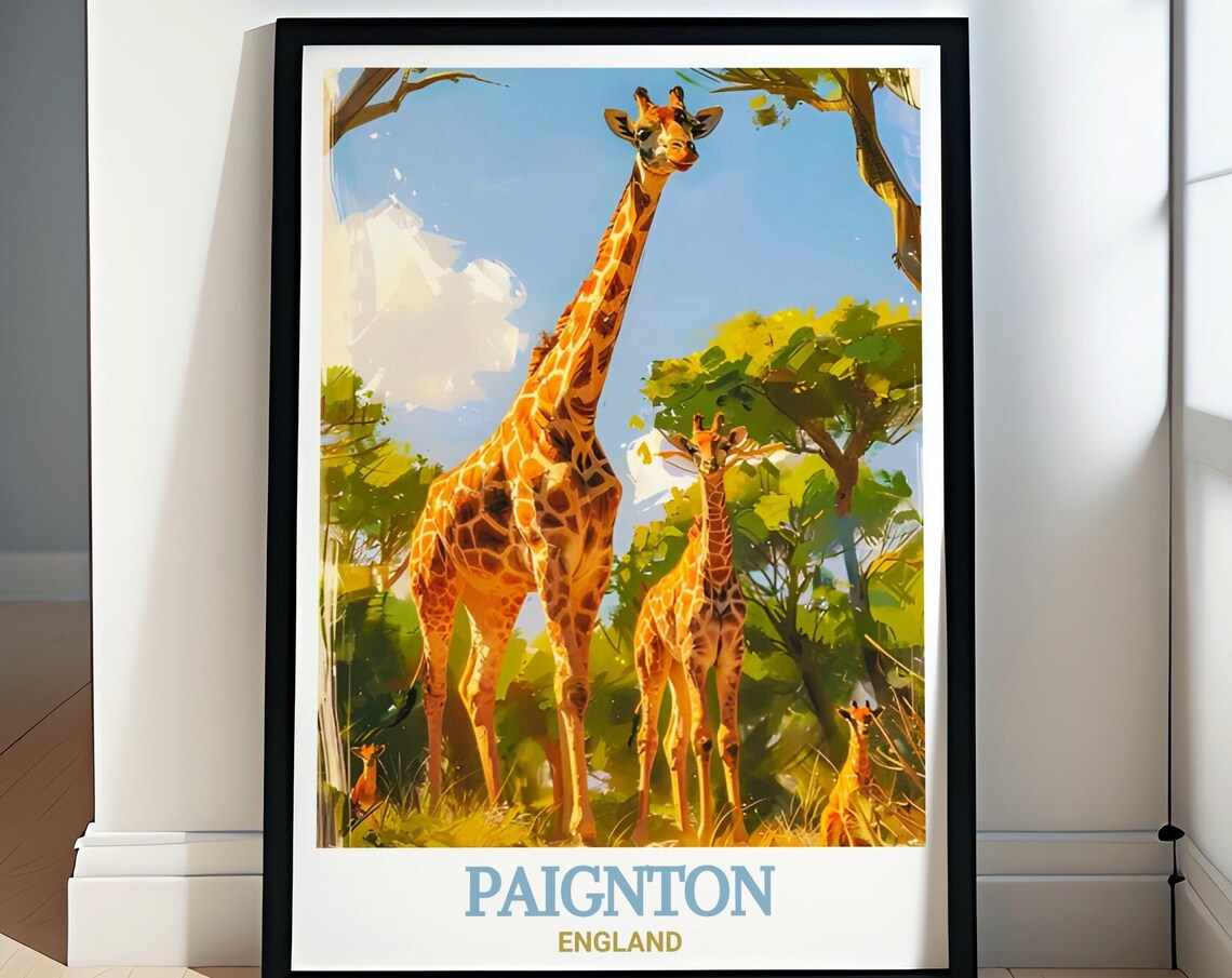 Paignton England Giraffe Family at the Zoo Safari Art Poster