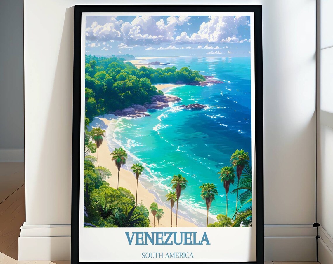 Venezuela South America Palm Cove Aerial Turquoise Beach View Poster