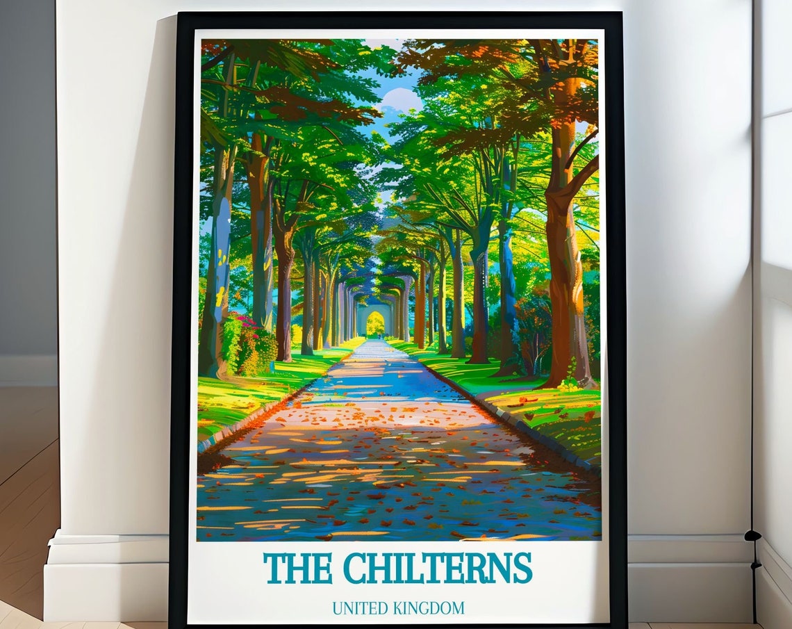 The Chilterns England Sunlit Tree Lined Country Lane Path Poster