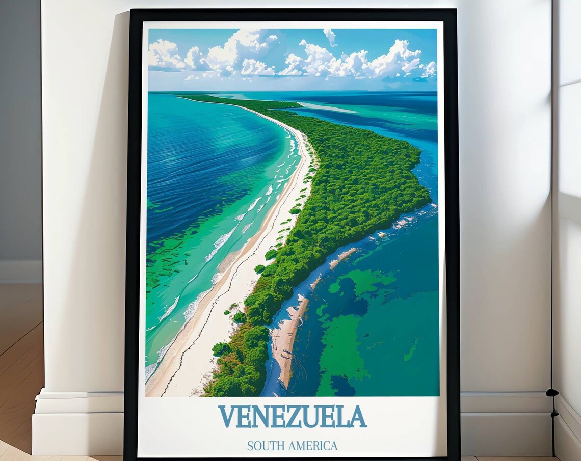 Venezuela South America Tropical Island Aerial Turquoise View Poster