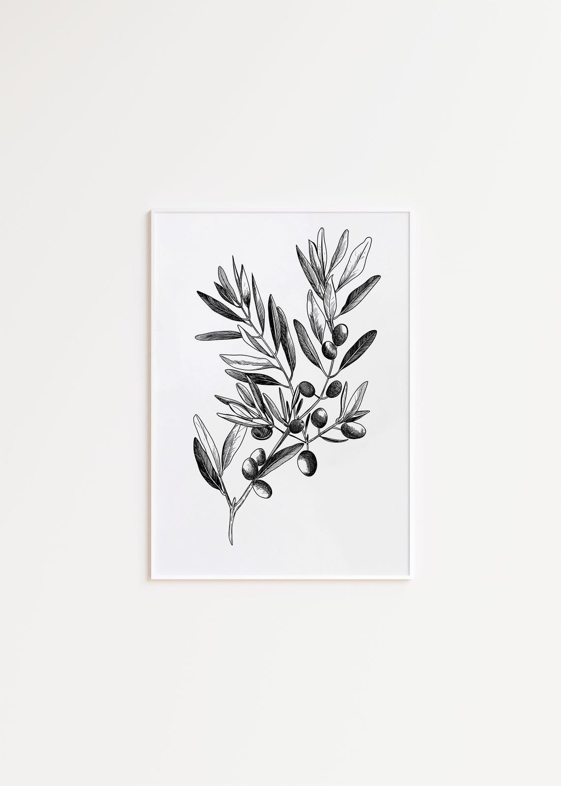 Black Ink Olive Branch Botanical Sketch Vintage Engraving Style Poster