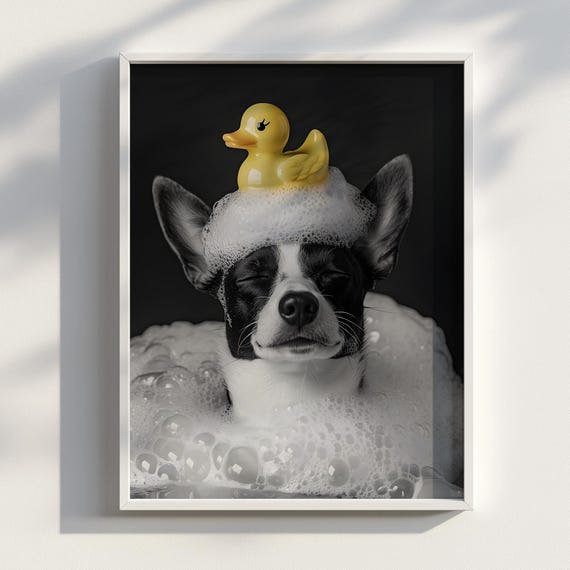 Bubbly Basenji Cute Doggo Poster Funny Dog Bathroom Print Pet Wall Art