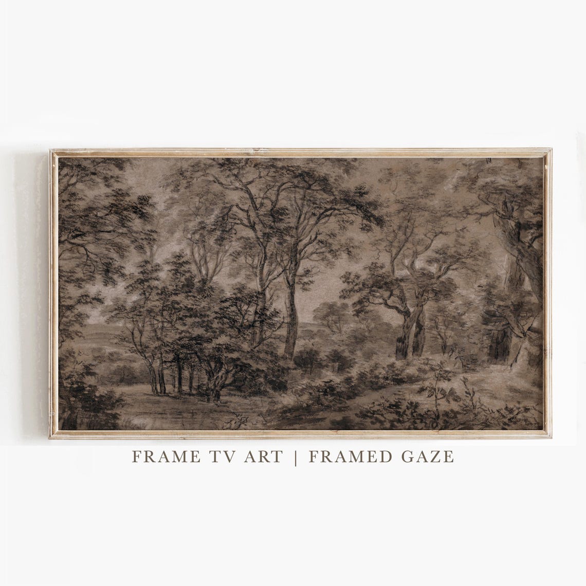 Sepia Forest Interior Tall Trees Antique Charcoal Woodland Poster