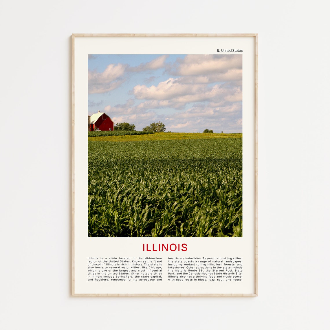 Illinois Print Film Photo Illinois Wall Art Illinois Poster Illinois Photo Illinois Poster Print Illinois Wall Decor Usa Poster Print