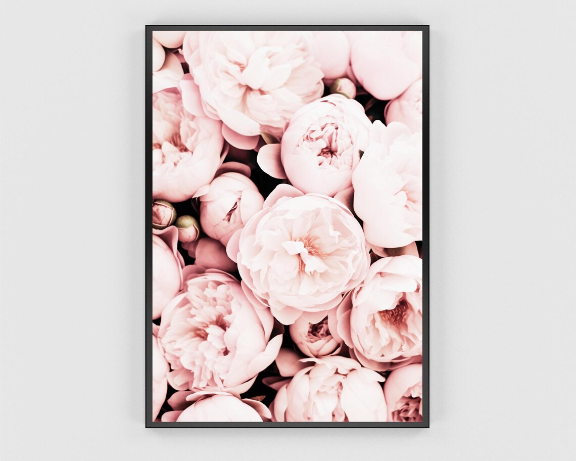 Blush Pink Peony Blooms Close Up Floral Photography Art Poster - Image 3